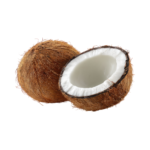 தேங்காய் Coconut