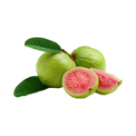 கொய்யா , Guava