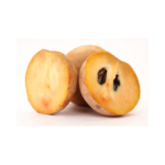 சப்போட்டா , Sapodilla